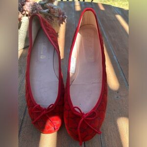 Velvet pretty ballerina shoes